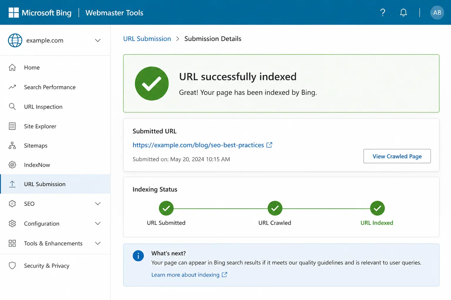 How to Get Your Website into Bing Index Fast
