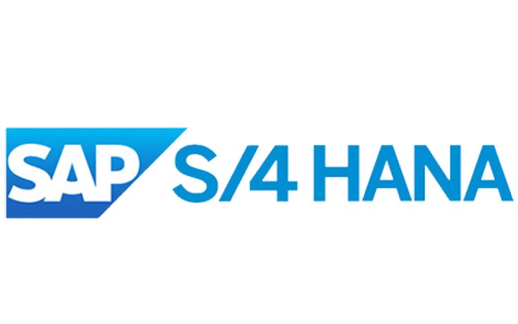 What Is SAP S/4HANA Testing and Why Is It Important for Your Business?